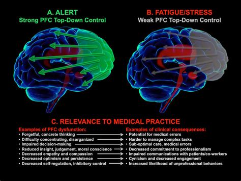 Toradh íomhá ar Functions of the Prefrontal Cortex