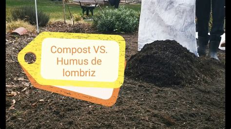 Toradh íomhá ar Humus vs Compost