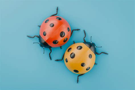 Afbeeldingsresultaten voor What JavaScript Looks Like