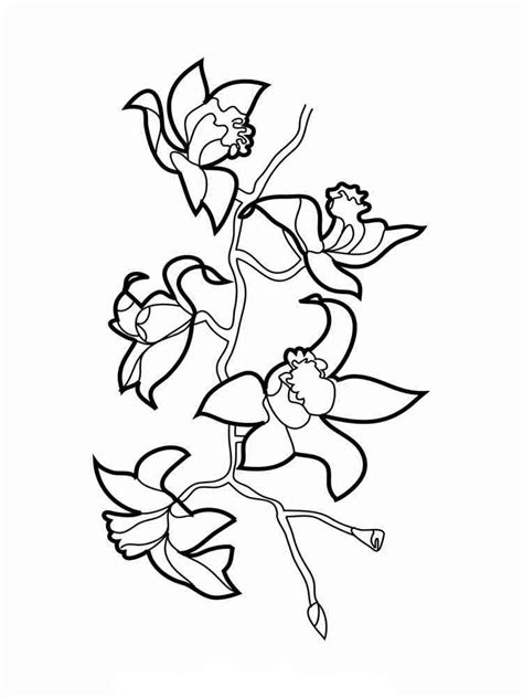 Image result for Orchid Flower Coloring Pages