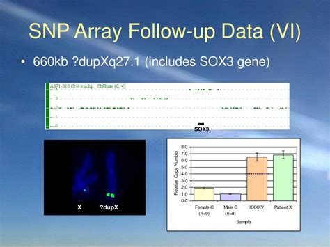 Image result for SNP Array