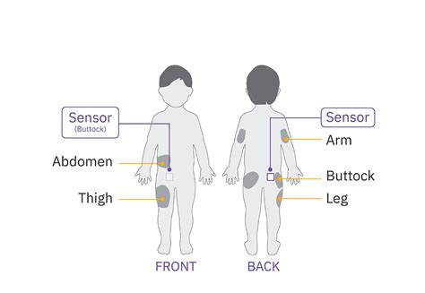 Omnipod 5: Pairing the FreeStyle Libre 2 Plus Sensor | Omnipod