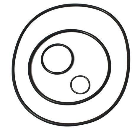 Image result for Sta-Rite Maxi Pro