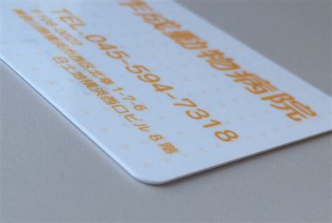 PVC Card with Slot に対する画像結果