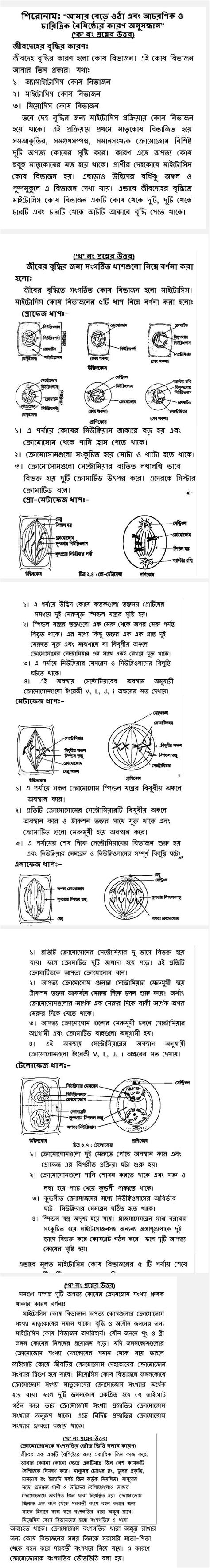 Class 8 5th Week Assignment Answer に対する画像結果
