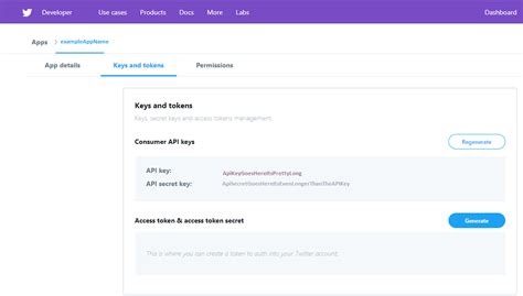 Image result for Twitter API Consumer Key