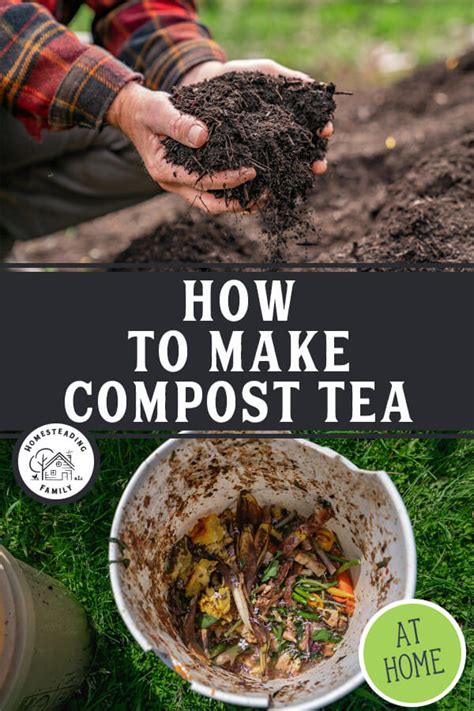 Image result for Making Compost Tea