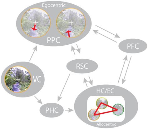 Image result for Spatial Representation