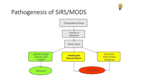 Systemic Inflammatory Response Syndrome,MODS,Sepsis - ppt download