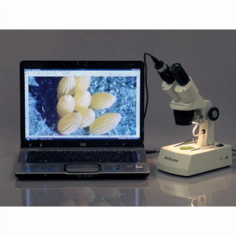 Microscope USB Colour Camera に対する画像結果