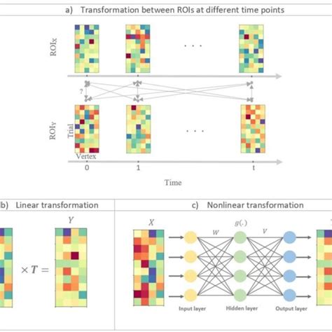 Pattern Nonlinear Animal에 대한 이미지 결과