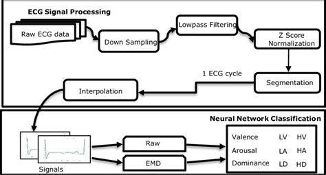 Image result for ECG Signal Processing with Neural Networks