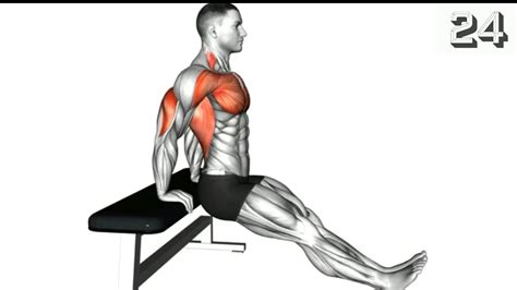 Image result for Tricep Excercisess