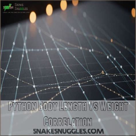 Python Strate Body に対する画像結果