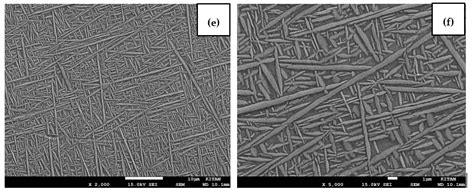 Image result for XT File Viewer