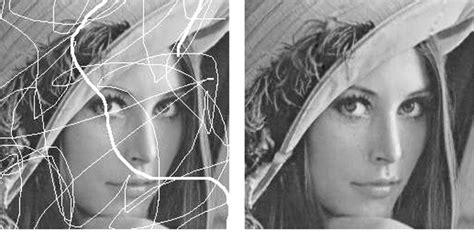 Image result for Image Processing Image Frau