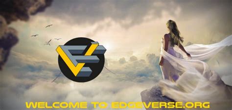 Edgeverse Coding Problems に対する画像結果