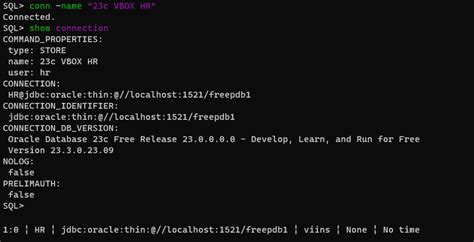 Image result for Import Connection File in SQL Developer