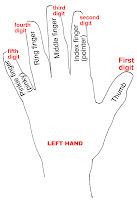 Image result for Digit Based Hand
