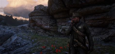 Image result for rdr2 save editor