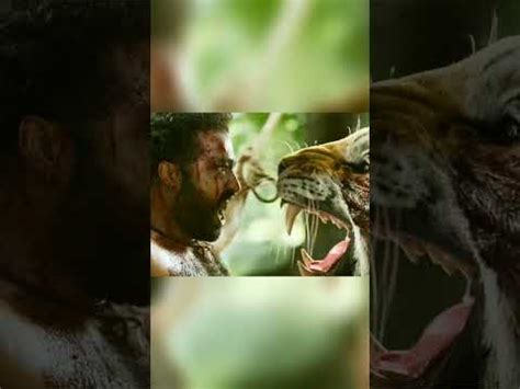 Afbeeldingsresultaten voor RRR Clips