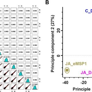 Multi Scatter Plot Correlations Python に対する画像結果