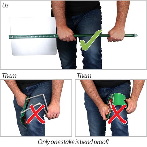 Image result for Slow Birds Crossing