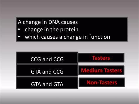 Image result for Chat Bot UI React Native