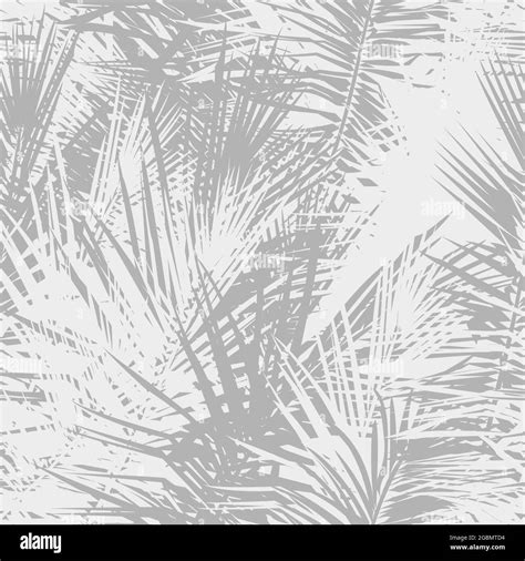 Toradh íomhá ar Grey Palm Tree