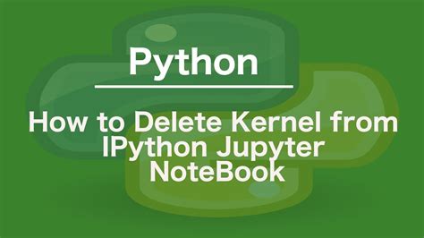 IPython Kernel に対する画像結果