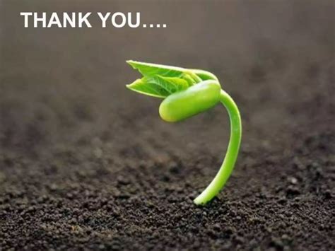 Toradh íomhá ar Types of Production Steps