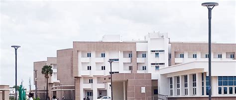 Image result for K-Lite Juno Sketch