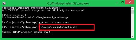 Python Terminal for Windows Virtual Environment に対する画像結果