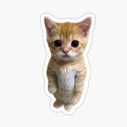 Image result for El Gato Cat Roblox Meme