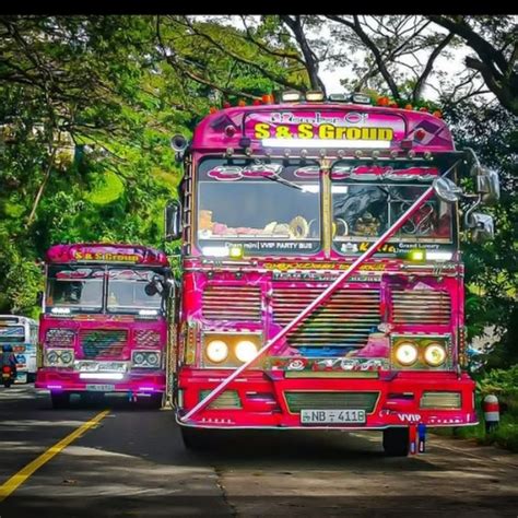 Image result for Laser Light SL Bus