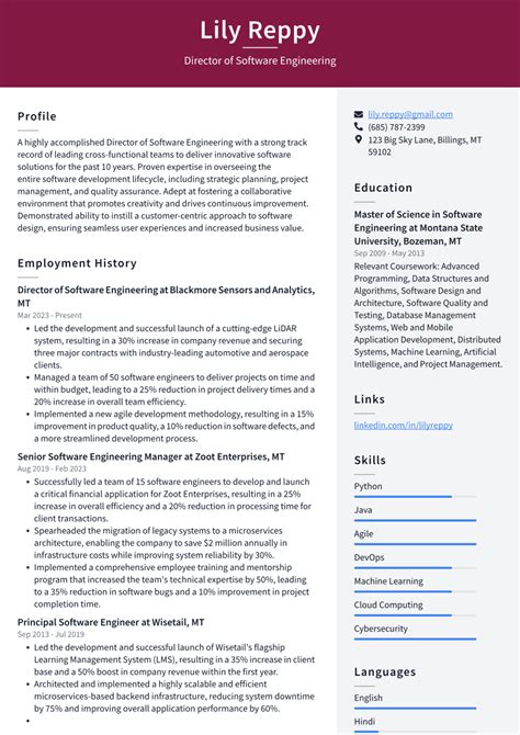 Toradh íomhá ar Software Engineering Define with Example