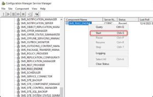 Image result for Server Manager Configuration Section