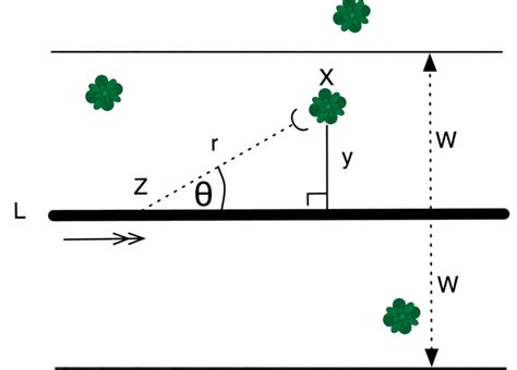 Toradh íomhá ar Transect Method Soil Sampling