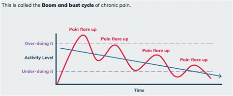 Boom Bust Cycles Carrying Capacity Example Graph に対する画像結果