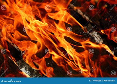 Image result for Fire Extinguisher Inspection Card