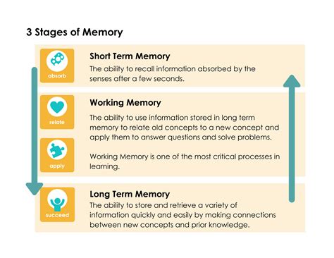 Image result for Short-Term Memory Meaning