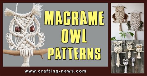 easy macrame owl patterns に対する画像結果