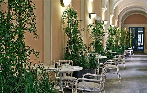 Image result for Spring Restaurant Near Me