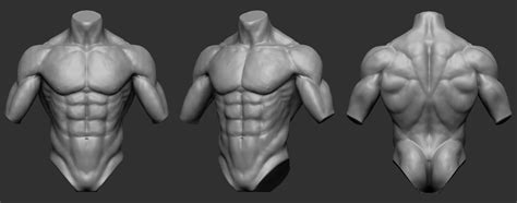 Image result for Torso and Extremity Protection Tep System