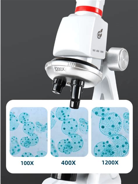 Microscope 1200 Times View に対する画像結果