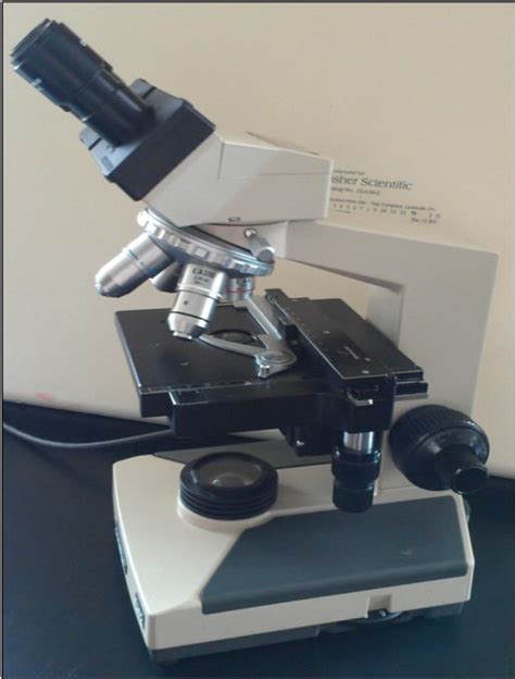 Toradh íomhá ar Compound Microscope Concept Map