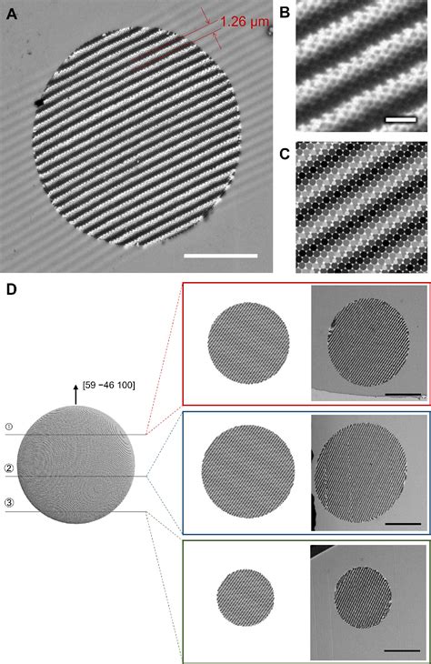 Image result for Colloidal Particle