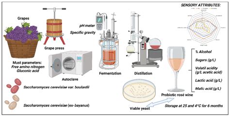 Wine Making Process Malolactic Fermentation に対する画像結果