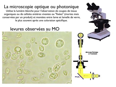Les Type De Microscope に対する画像結果