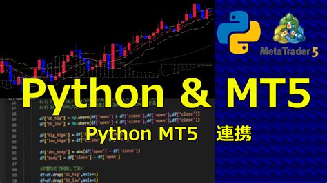 Python MT 340 に対する画像結果